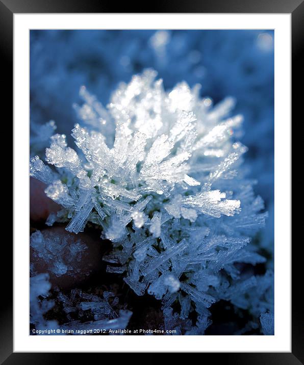 Ice Crystals Framed Mounted Print by Brian  Raggatt