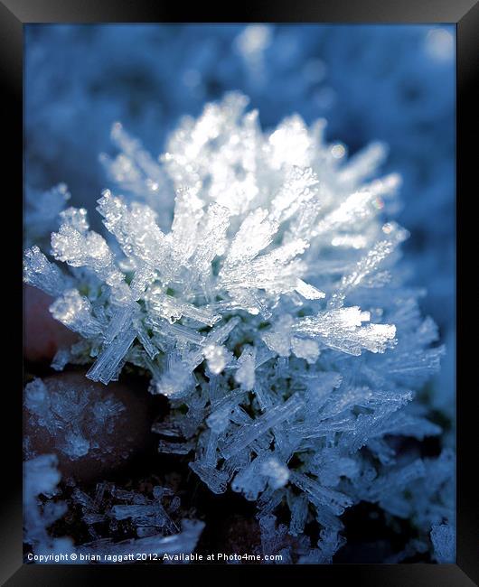 Ice Crystals Framed Print by Brian  Raggatt