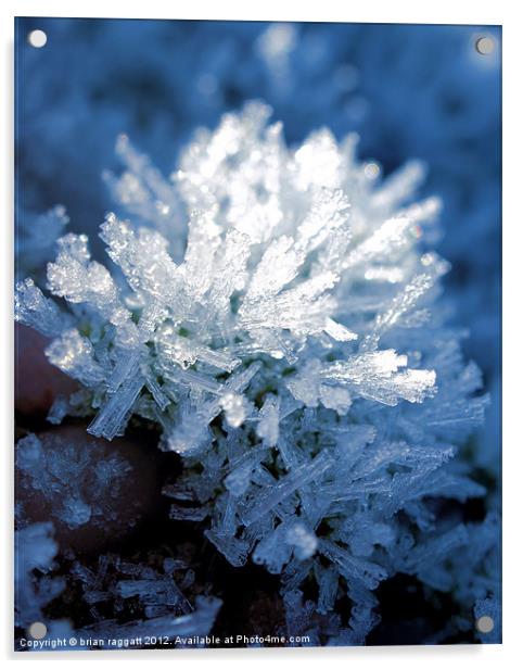 Ice Crystals Acrylic by Brian  Raggatt