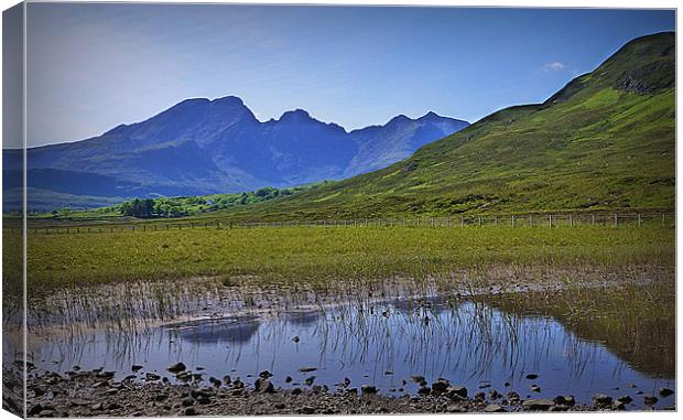 summer skye Canvas Print by dale rys (LP)