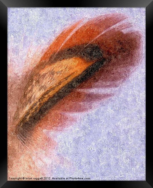 Abstract Feather in Oils Framed Print by Brian  Raggatt
