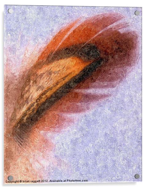Abstract Feather in Oils Acrylic by Brian  Raggatt