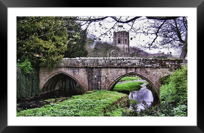 Fountains Abbey Bridge Framed Mounted Print by Trevor Kersley RIP
