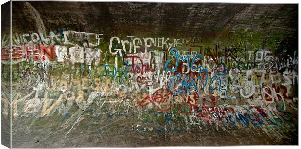 Graffiti street art in tunnel Canvas Print by Greg Marshall