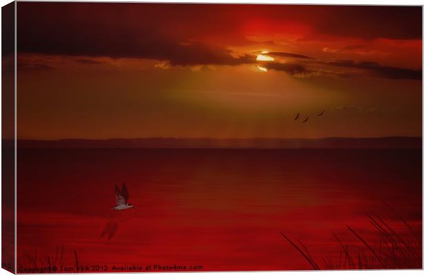 OCEAN SUNSET Canvas Print by Tom York