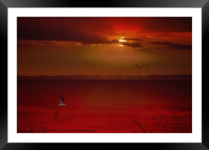 OCEAN SUNSET Framed Mounted Print by Tom York
