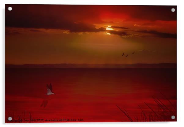OCEAN SUNSET Acrylic by Tom York