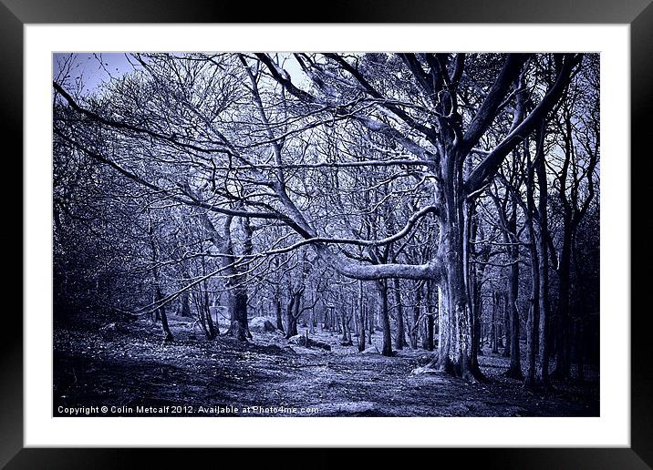 In the Grip of Winter Framed Mounted Print by Colin Metcalf