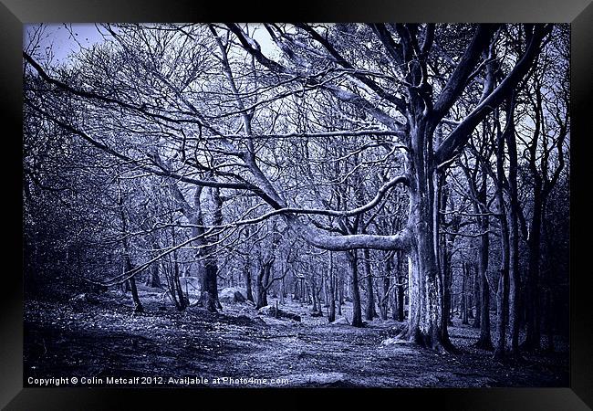 In the Grip of Winter Framed Print by Colin Metcalf