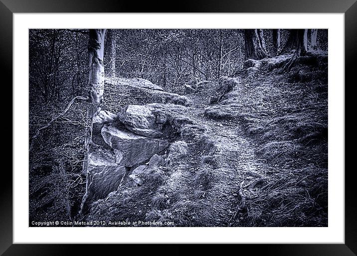 The Rugged Path Framed Mounted Print by Colin Metcalf