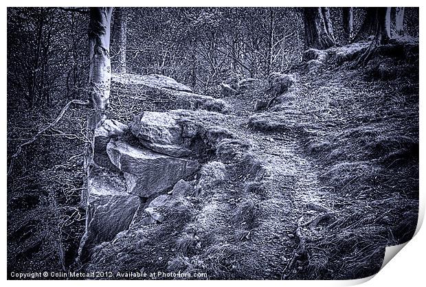 The Rugged Path Print by Colin Metcalf