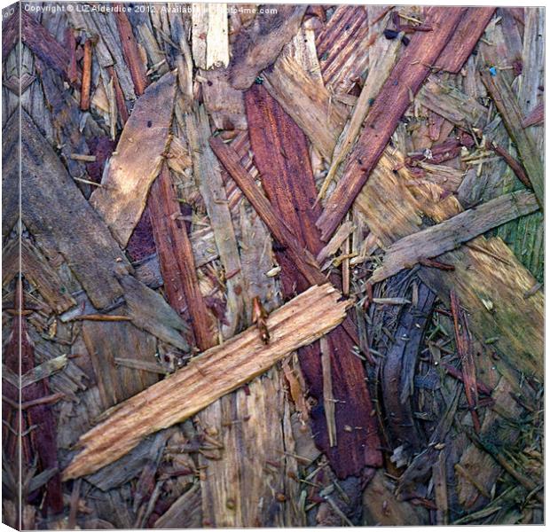 Wood Chip Abstract Canvas Print by LIZ Alderdice
