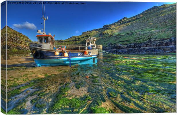 Boscastle blue boat green river Canvas Print by Dave Bell