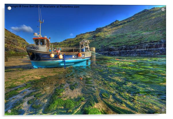 Boscastle blue boat green river Acrylic by Dave Bell
