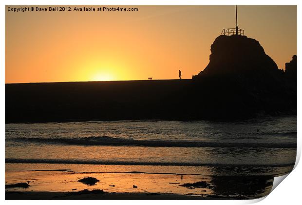 Man and Dog Bude Breakwater Print by Dave Bell