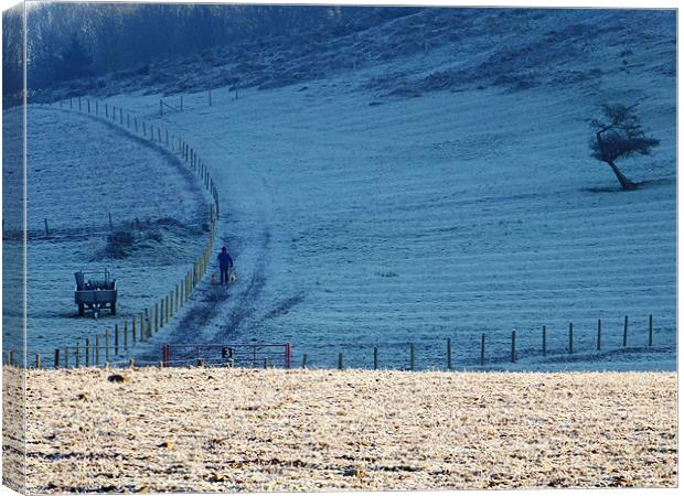 Frosty Fields Canvas Print by andrew pearson