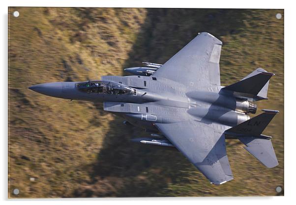 F15E 500mph Low Level Flying Acrylic by Philip Berry