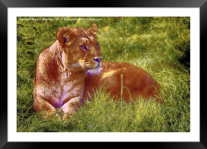 In her Sights Framed Mounted Print by paul jenkinson