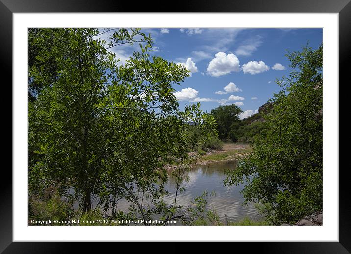 Afternoon by the Stream Framed Mounted Print by Judy Hall-Folde