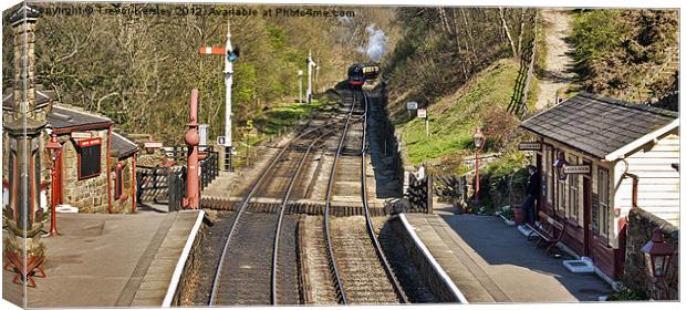 Approaching Goathland Station Canvas Print by Trevor Kersley RIP