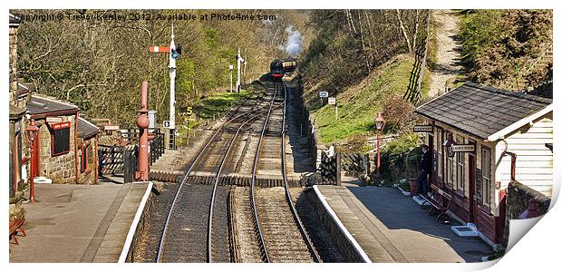 Approaching Goathland Station Print by Trevor Kersley RIP