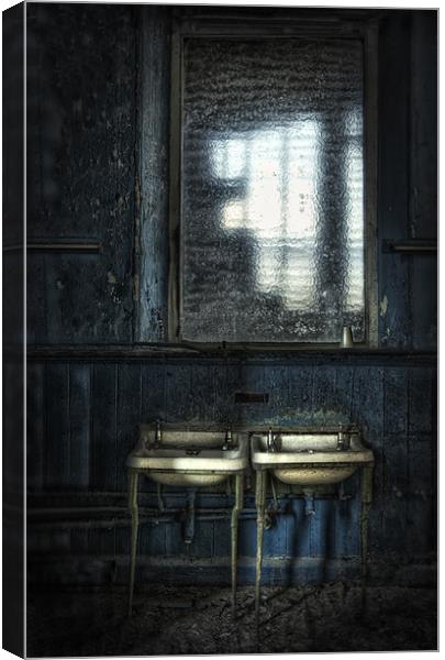 Bathroom Blues Canvas Print by Jason Green
