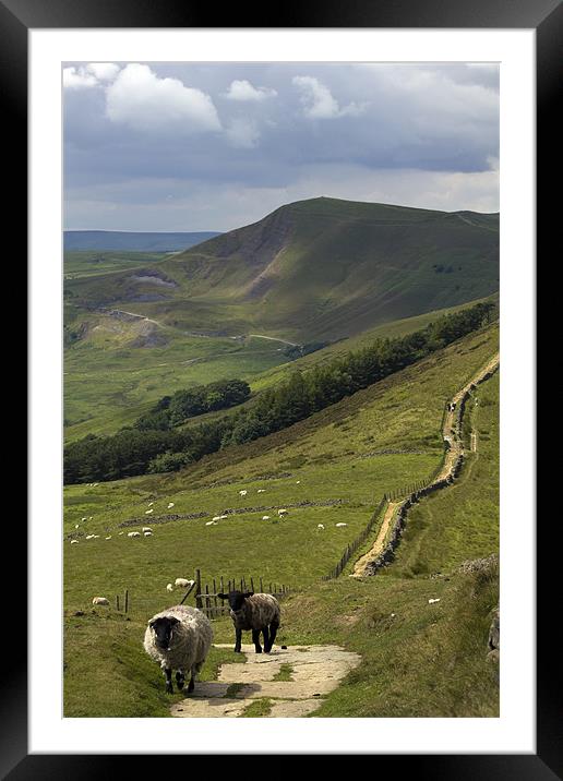 Out On The Ridge, Derbyshire. Framed Mounted Print by Darren Burroughs