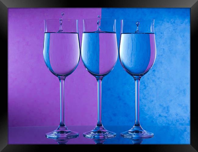 Three white wines Framed Print by Sam Smith