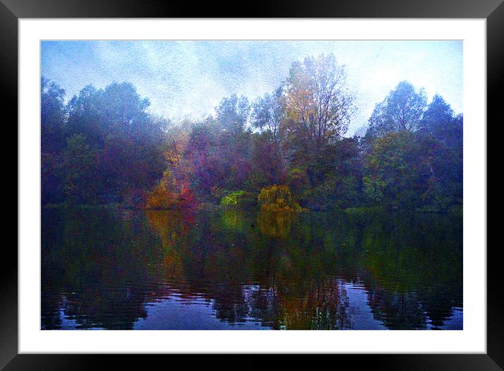 Painting on the Lake Framed Mounted Print by Dawn Cox