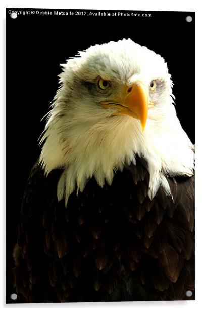 Bald Eagle Acrylic by Debbie Metcalfe