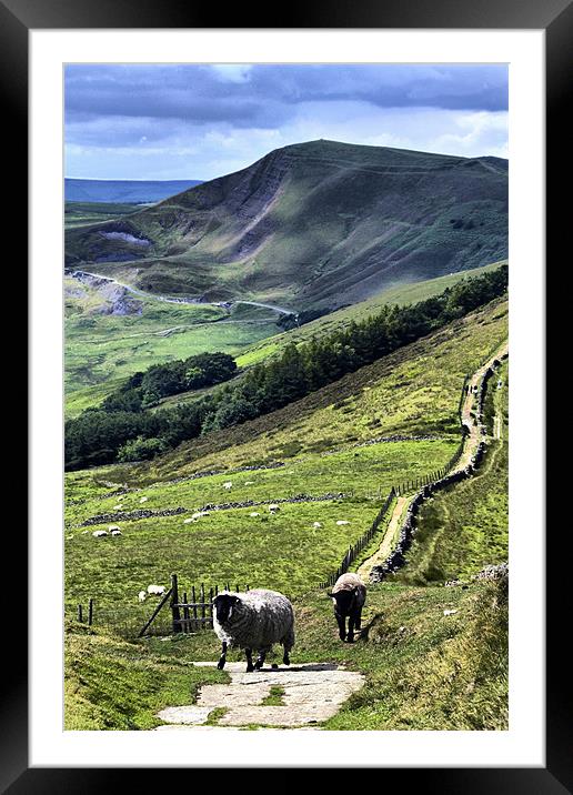 Out On The Ridge, Derbyshire. Framed Mounted Print by Darren Burroughs