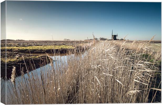 Brograve Mill through the Reeds Canvas Print by Stephen Mole