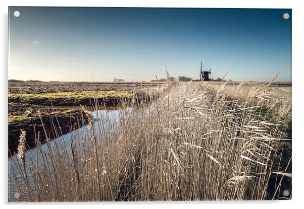 Brograve Mill through the Reeds Acrylic by Stephen Mole