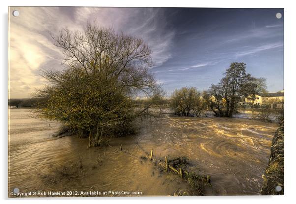 The Floods at Stoke Canon Acrylic by Rob Hawkins