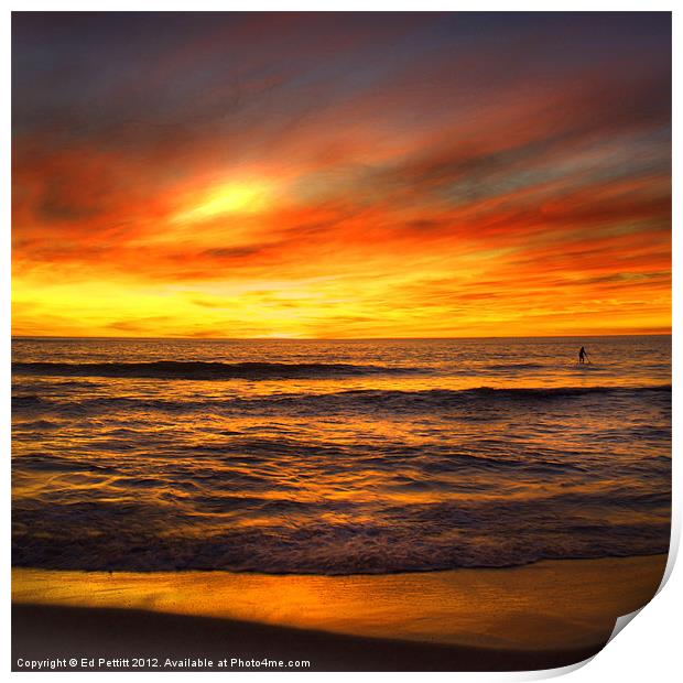 Burning Ocean Sunset Print by Ed Pettitt