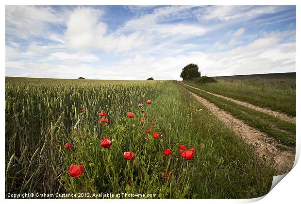 English Countryside Print by Graham Custance