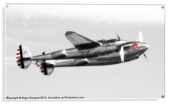 Lockheed P-38L Lightning Acrylic by Nigel Bangert