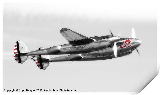 Lockheed P-38L Lightning Print by Nigel Bangert