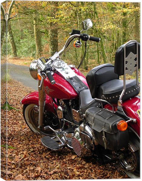 Red Harley Davidson in Woodland Canvas Print by Dave Bell