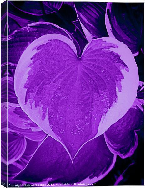 Love collection 6 Canvas Print by stewart oakes