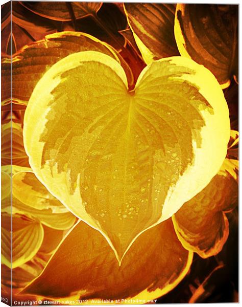Love collection 8 Canvas Print by stewart oakes