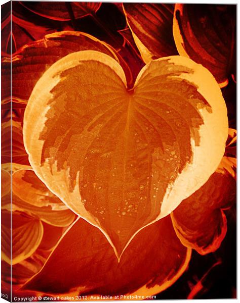 Love collection 9 Canvas Print by stewart oakes