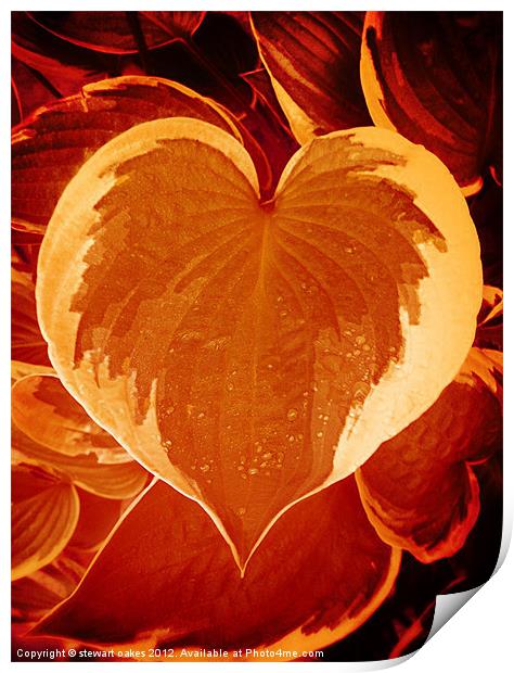 Love collection 9 Print by stewart oakes