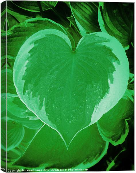Love collection 10 Canvas Print by stewart oakes