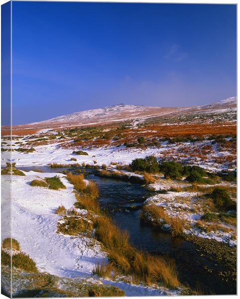 River Lyd Looking Towards Great Links Tor Canvas Print by Darren Galpin
