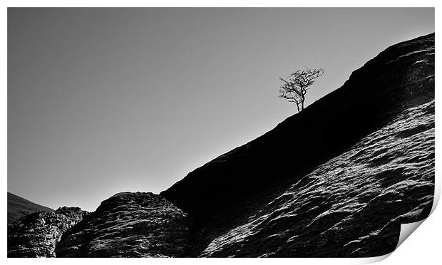 The lonesome tree Print by Tom Reed