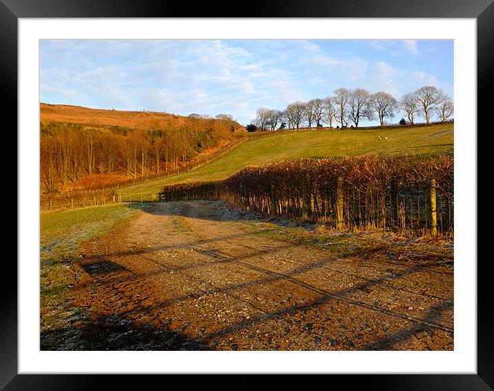 Picturesque farm track Framed Mounted Print by andrew pearson