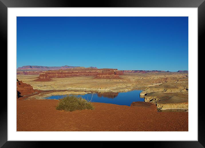 Colorado River near Hite, Utah Framed Mounted Print by Claudio Del Luongo