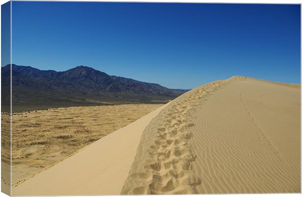 Mojave dune, California Canvas Print by Claudio Del Luongo