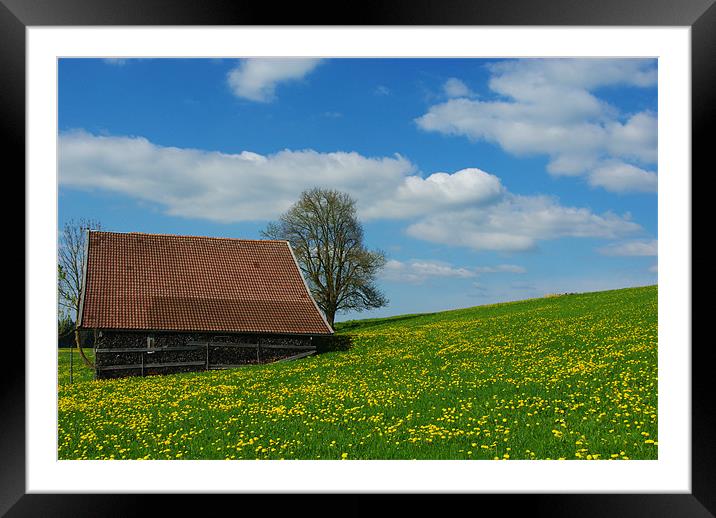 Spring colours in Bavaria Framed Mounted Print by Claudio Del Luongo